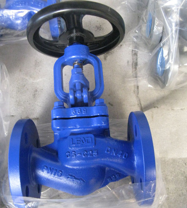 DIN Globe Valve